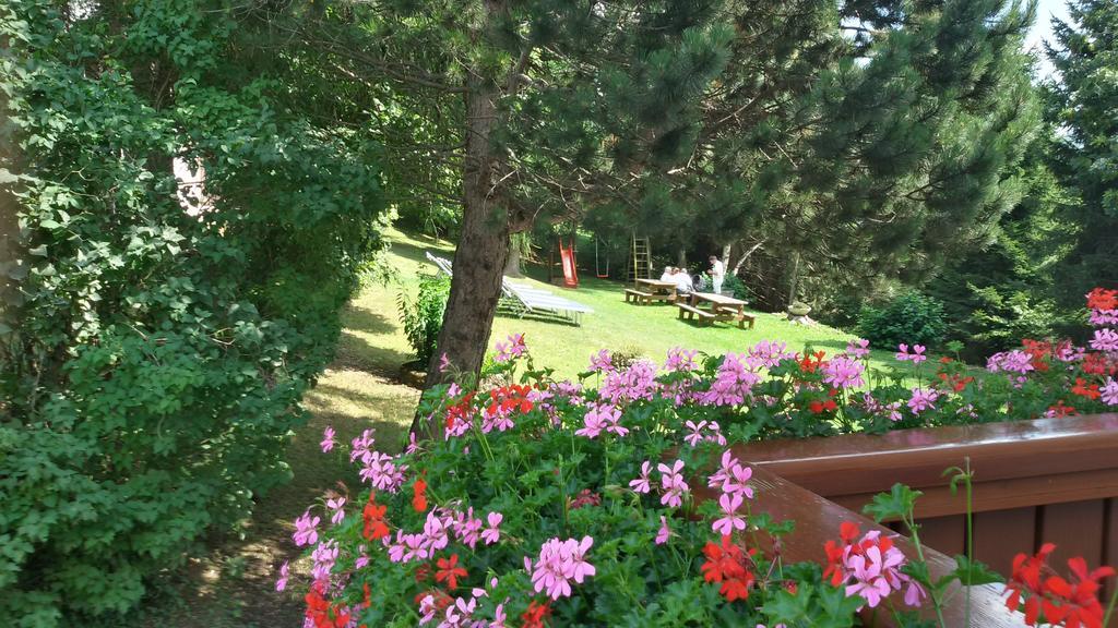 Hotel Trentino Folgaria Exterior photo